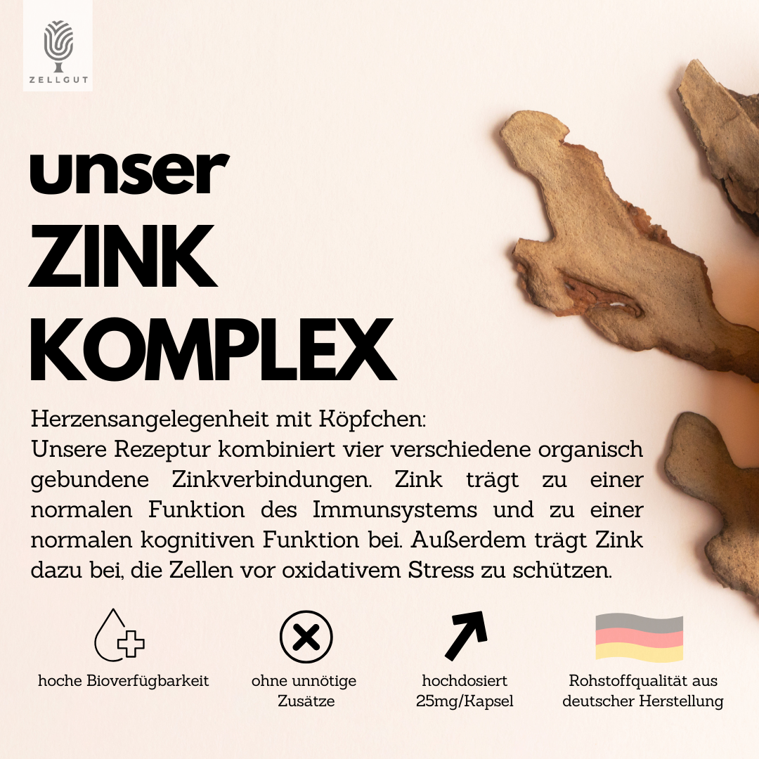 
                  
                    ZINK KOMPLEX
                  
                