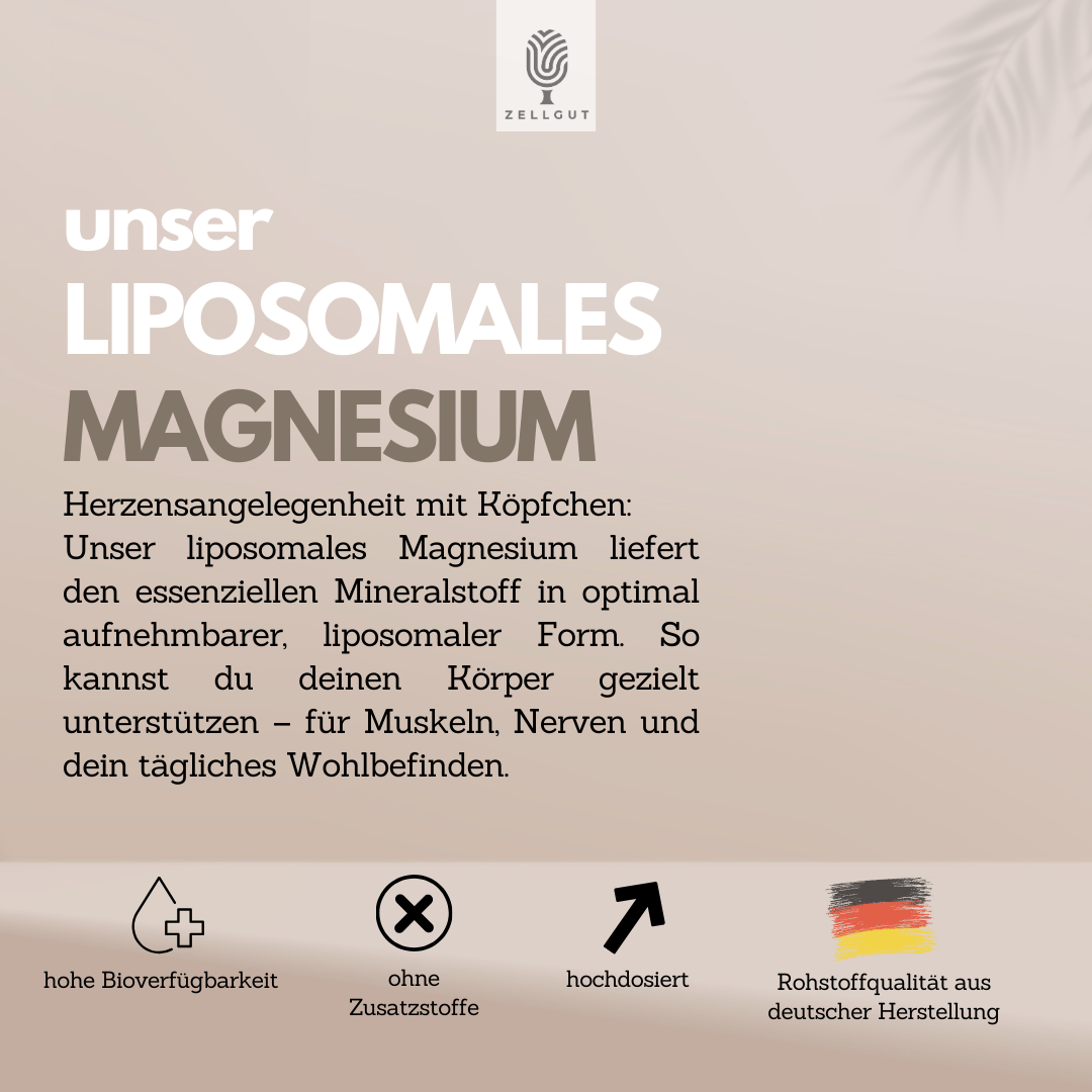 
                  
                    LIPOSOMALES MAGNESIUM
                  
                