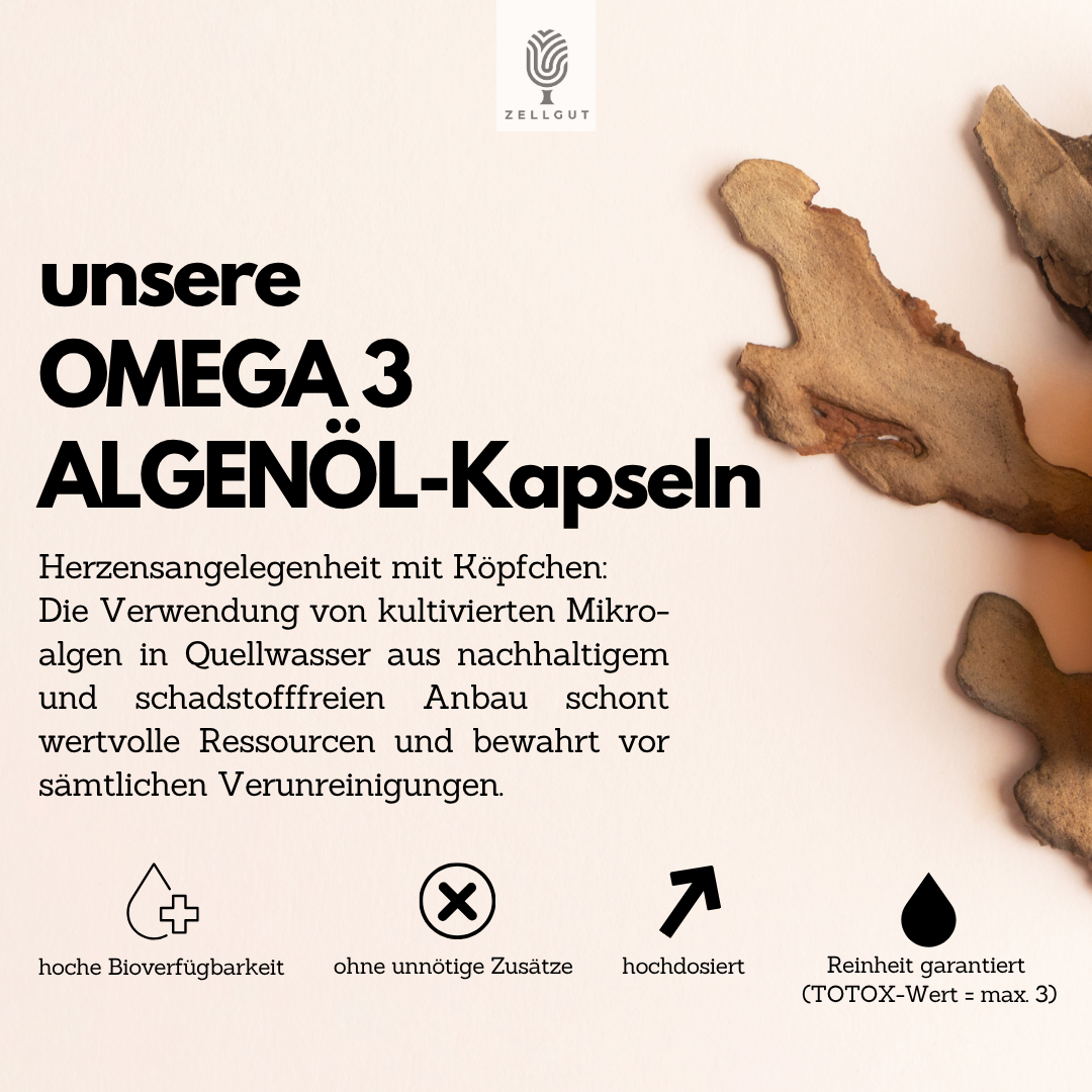
                  
                    OMEGA 3 ALGENÖL KAPSELN
                  
                