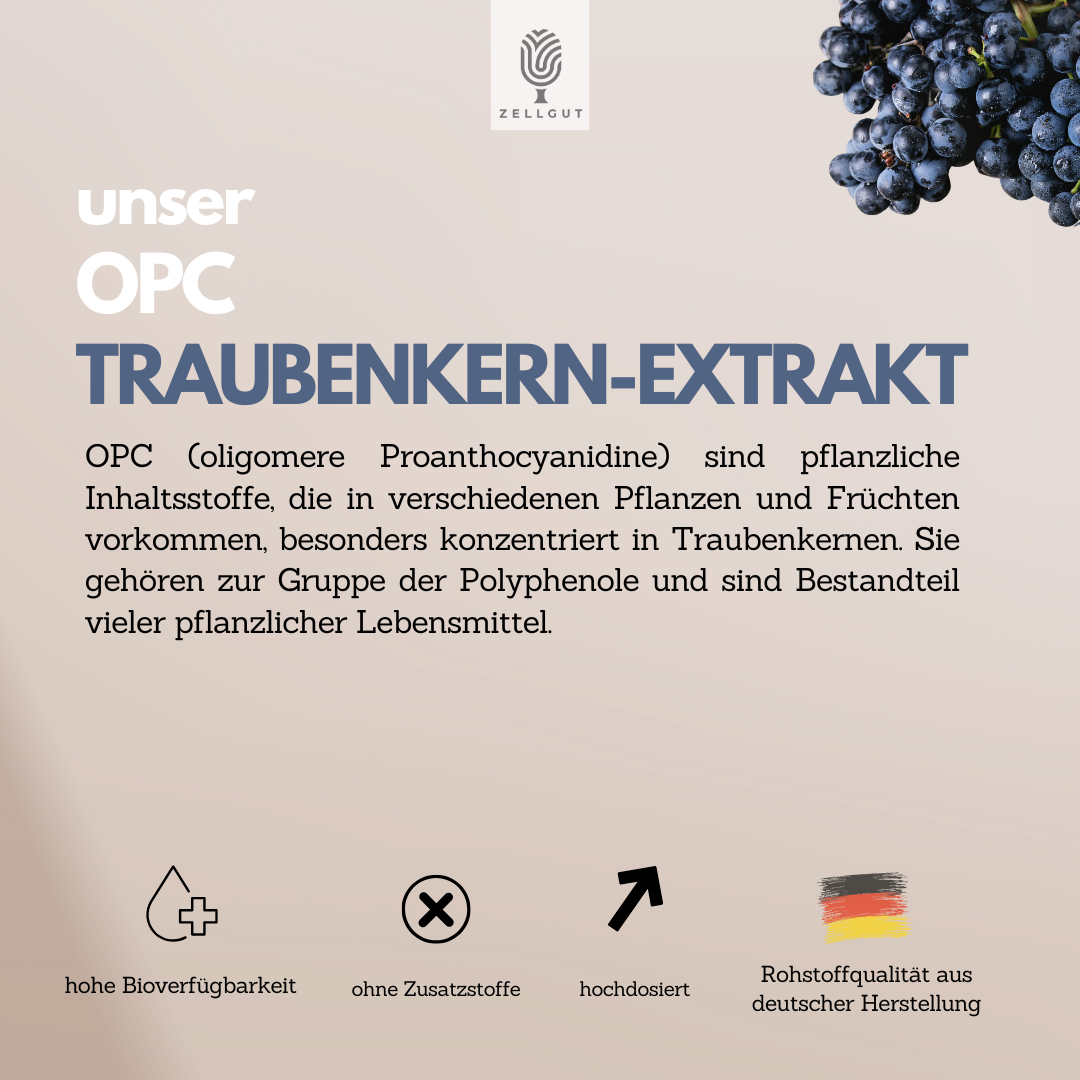 
                  
                    OPC (TRAUBENKERN-EXTRAKT)
                  
                