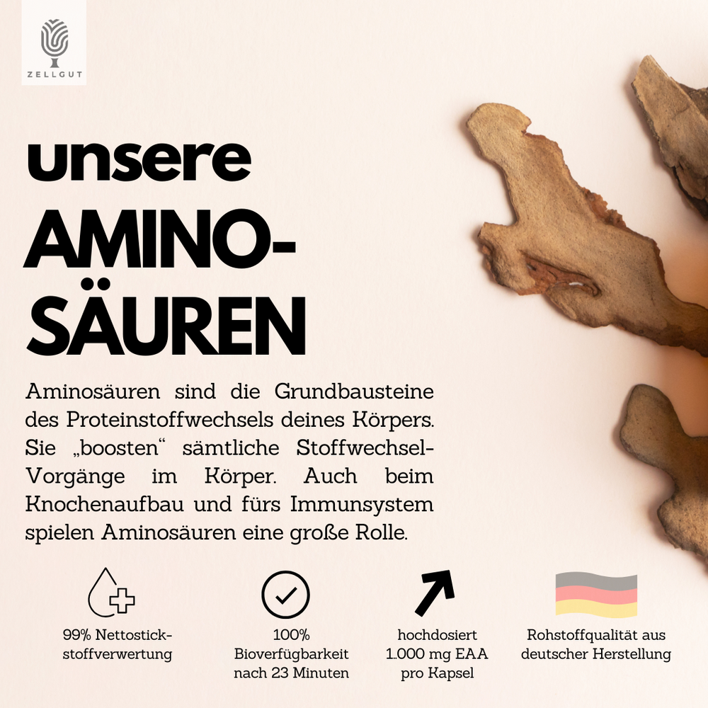 
                  
                    AMINOSÄUREN
                  
                