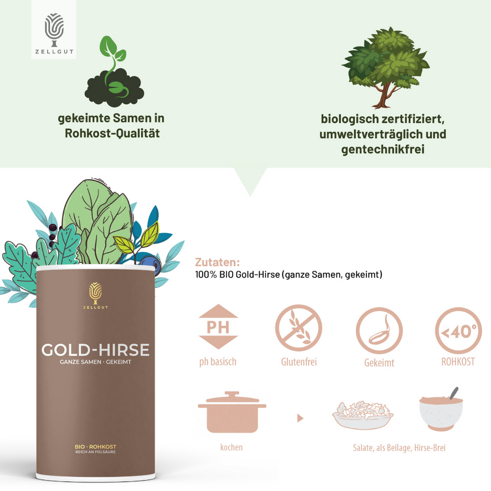 hirse saatgut bio GOLD-HIRSE