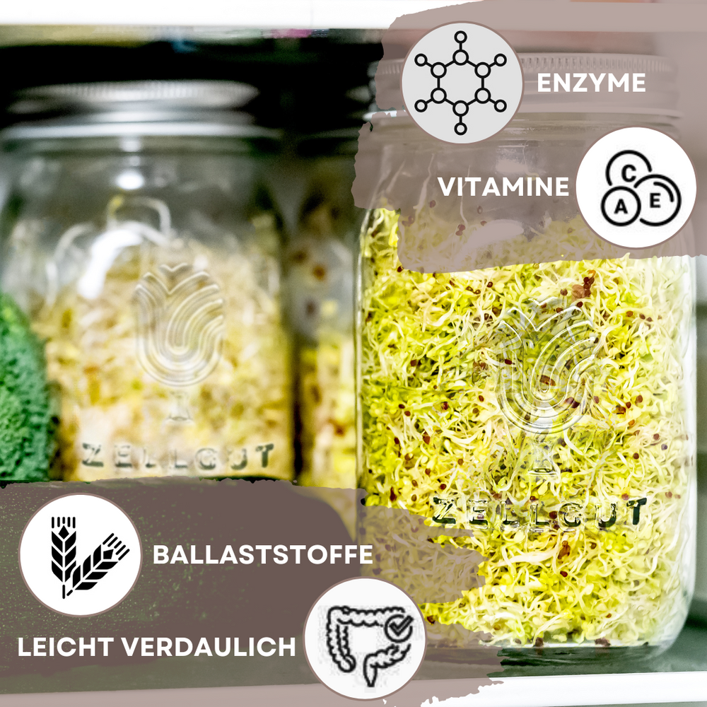 Sprossenglas-Set – 2 Stück, Mit Edelstahldeckel, Für Microgreens & Keimlinge (ohne Samen)