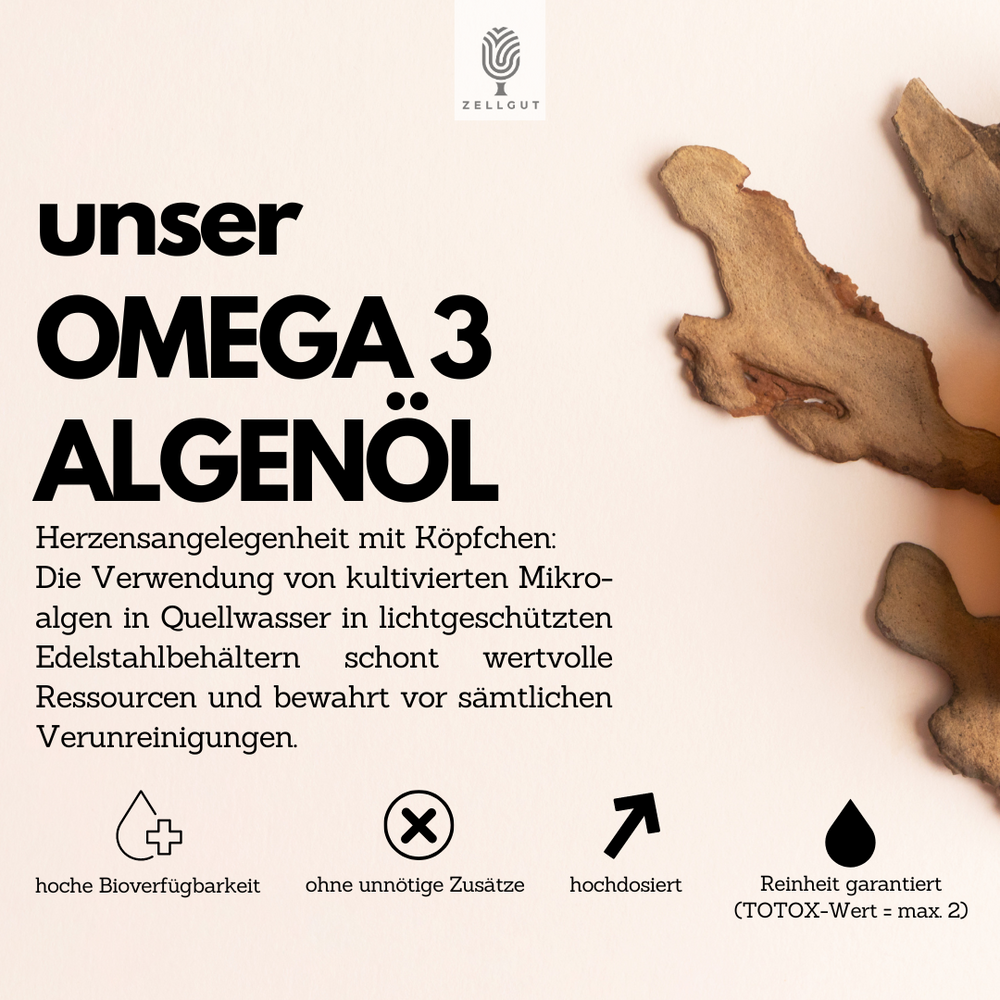 OMEGA-3 ALGENÖL – ZELLGUT