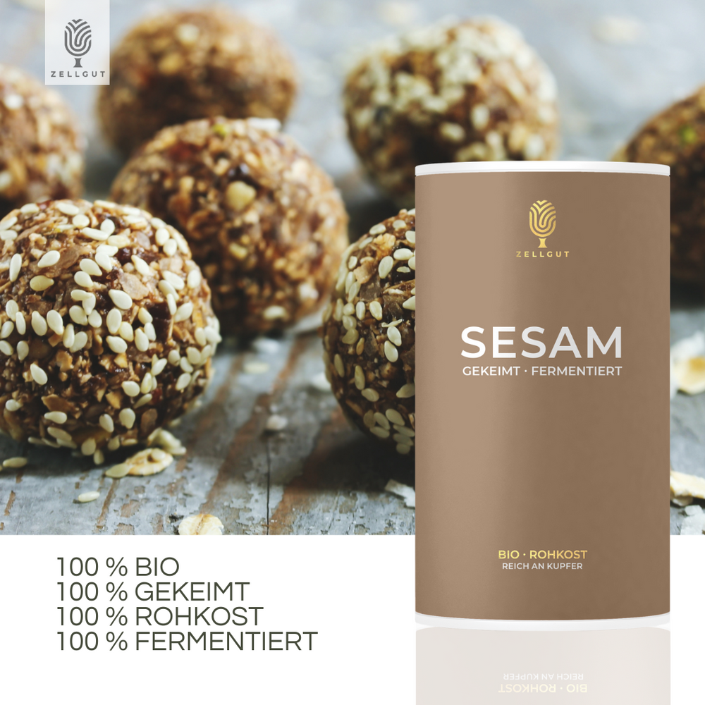 SESAM – ZELLGUT