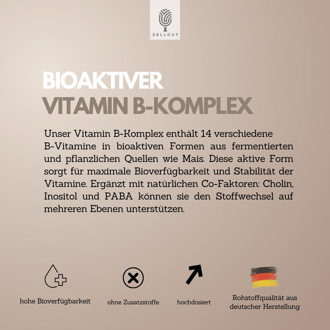 
                  
                    VITAMIN B-KOMPLEX
                  
                