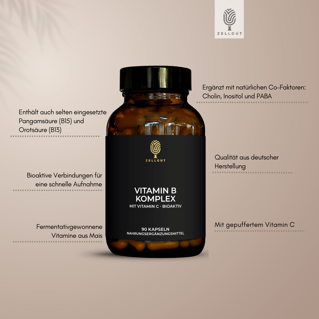 
                  
                    VITAMIN B-KOMPLEX
                  
                