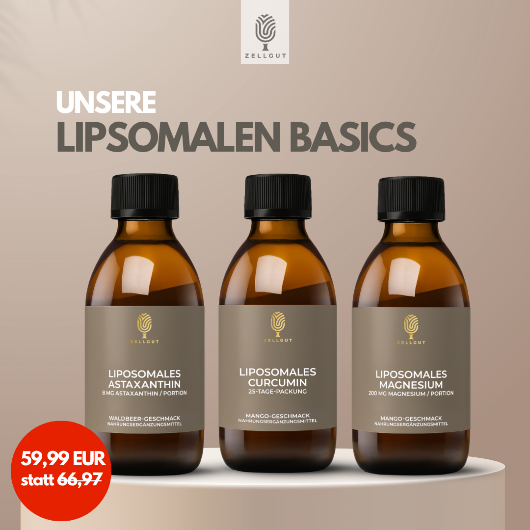 
                  
                    Liposomales Bundle
                  
                